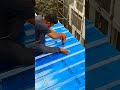 #videos self drilling Patra shade #