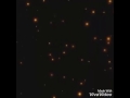 Kuch Parvat Hilaye(A tribute to Poorna) By: Rituraj Mitra Whatsapp Status Video Download Free