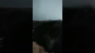 Санечка мы в шоке где твоя красивая шевелюра