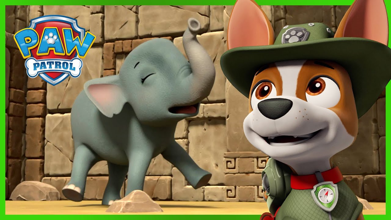 Cowboy Pups save the sleepwalking Mayor and more!, PAW Patrol