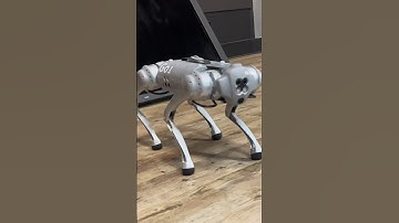 🐶🔩🦴🤖Robot Dog ➡️ like and comment if you want one.
