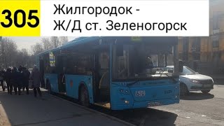 картинка: Автобус 305. Жилгородок - Ж/Д ст. Зеленогорск