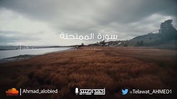 أواخر سورة الحشر و سورة الممتحنة كاملة - أحمد العبيد