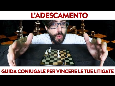 Video: Come Evidenziare La Quota Coniugale