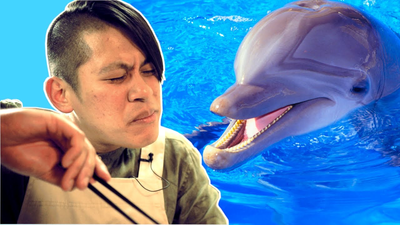Cooking Dolphin | イルカ料理 - YouTube