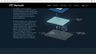 FST Network 'ICO' Review