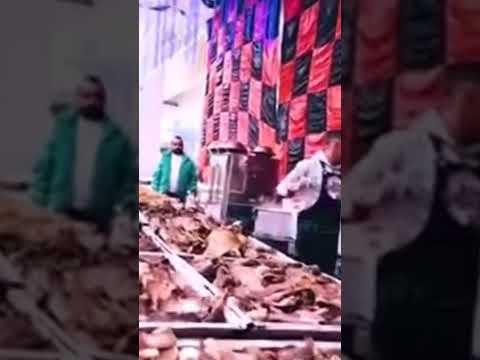 فرح تاجر مواشي اتكلف 20مليون بالدقهليه بلقاس