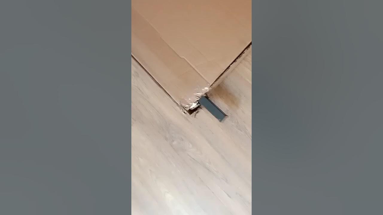 NEW BED DAMAGE 😲 YouTube