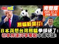 台灣與熊貓的政治熱潮