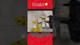 TP HCM triệt phá đường dây ma túy liên tỉnh, bắt giữ 140 đối tượng #videophapluat
