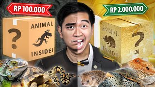 UNBOXING MYSTERY BOX HEWAN RP 100.000 VS RP 2.000.000!