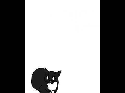 maxwell cat #maxwellcat