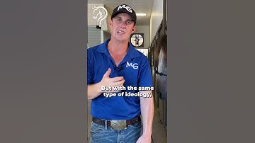 Quick Tips For Clipping Your Horse For The First Time Part 5 | The Horse Guru - Michael Gascon