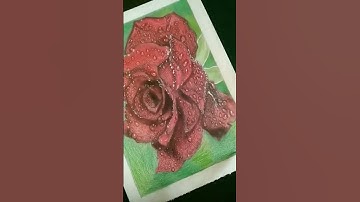 #shorts, how to draw red rose, realistic drawing, best technic for drawing, #shortvideo #art