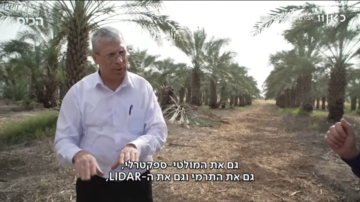 פטנט ישראלי ימנע נזק של מאות מיליוני דולרים לעצי הדקל?