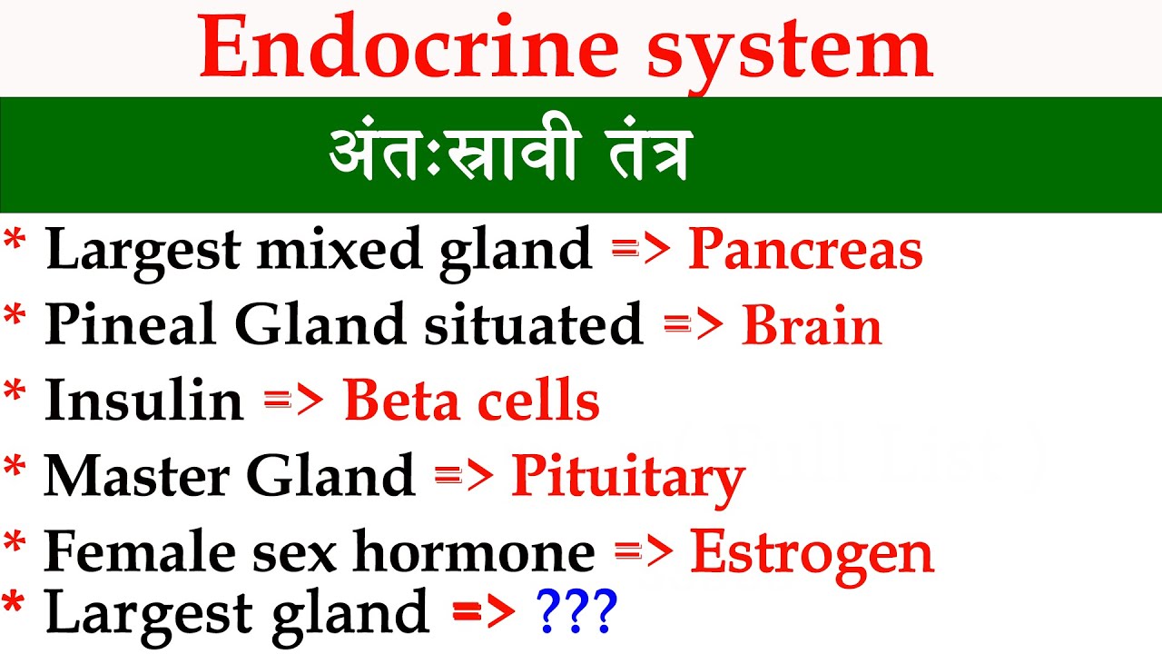 Endocrine system MCQs l अंतःस्रावी तंत्र l Endocrine system quiz l MCQ