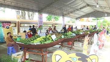 Khai mạc Ngày hội trái cây Tân Lộc
