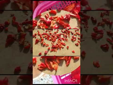 فلفل أحمر صنع البيت