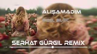 Sibel Bilgiç- Dayanamam Ben Bu Son Gidişine ( Serhat Gürgil Ft.Ömer Kasım Remix )|Alışamadım - Kanun Resimi