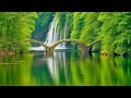 Ultra relaxing music to calm the mind stop thinking  music for sleep soul and body