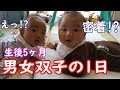【1日密着】男女双子赤ちゃん生後5ヶ月ってどんな感じ?mix twins baby What kind of feelings are five months after birth?