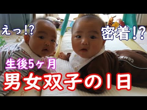 １日密着 男女双子赤ちゃん生後５ヶ月ってどんな感じ Mix Twins Baby What Kind Of Feelings Are Five Months After Birth Youtube