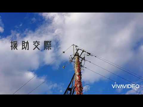 クリープハイプ/援助交際 カバー