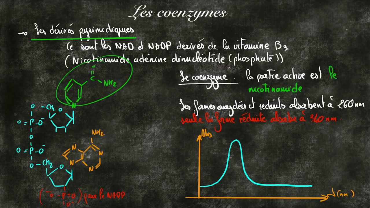 coenzyme r for hair coenzyme r for hair