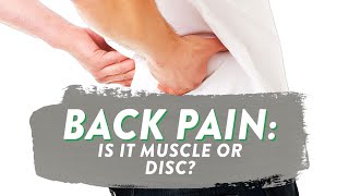 How do you know if back pain is muscle or disc? screenshot 5