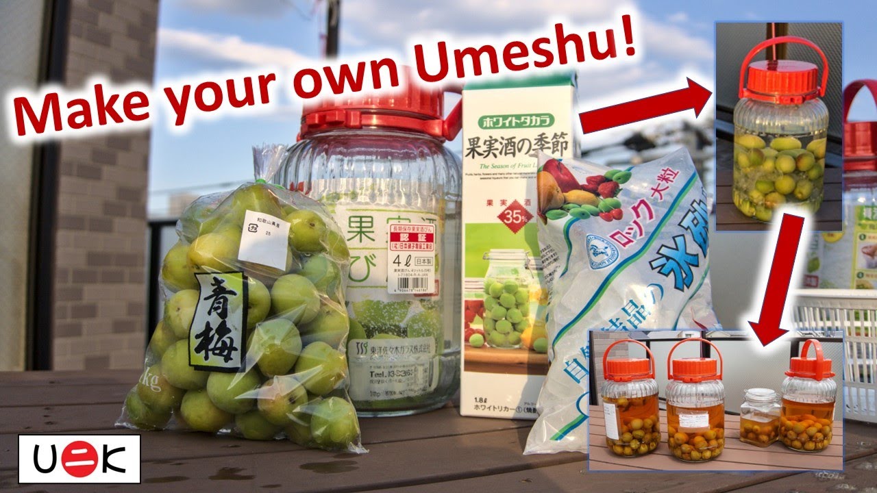 Learn how to make Umeshu (Japanese plum wine) with special Honey Umeshu