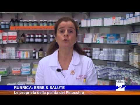 Rubrica erbe e salute le proprietà della pianta del Finocchio Antenna 2 TV 22022013