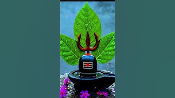 karpur gauram karunavtaram status//Mahadev status#mahadevstatus#shorts#bholenath#status#shivji