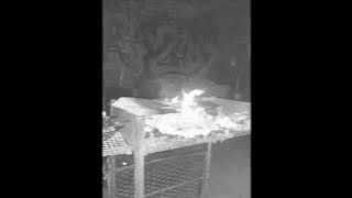 Dj Quik - Dollaz And Sense Slowed