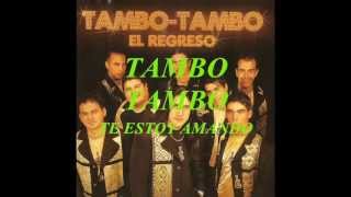 tambo tambo te estoy amando.wmv chords