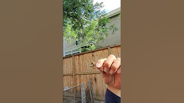 Jumpstarting a 2024 Subaru Crosstrek. #roadsideassistance #subaru #automobile #car #diy #reels #fyp