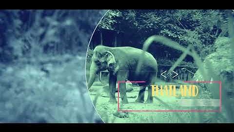 Summer Travel | After Effects Openers - Envato elements