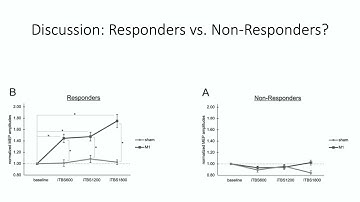 OHBM 2025 | Educational Course | How to Use MRI to Optimize Brain Stimulation | Part 2