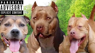 pitbull named princess
happy national eat a toddler day!
#memes #kraccbacc #funny #humor #pitbull #toddlers #original #sus #amongus #memez
pitbull, crystal, pitbull named, named, named crystal, pitbull named crystal, toddler, pitbull toddler, memes, pitbull menes pitbull named princess