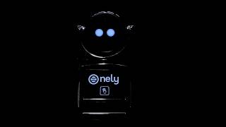 Nely Sosyal Robot