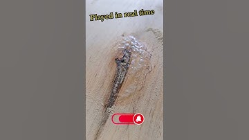 Wood Working - Using Sander Wood Dust as Hole / Gap / Crack Filler