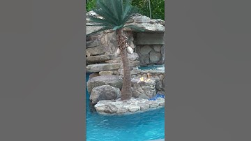 Check out this incredible lazy river backyard in New Jersey. #insanepools #backyardpool #lazyriver