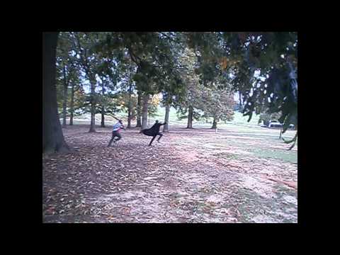 Batman's day at the park