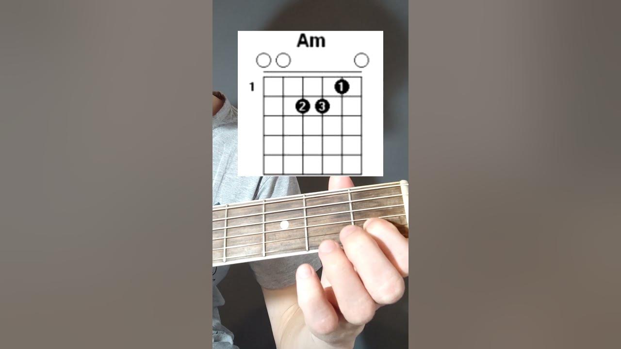 Аккорд am с баррэ. Как играть аккорды видео. Лады на 6 струнной гитаре для начинающих. Как зажимать аккорды на гитаре. Как играть аккорды видео.