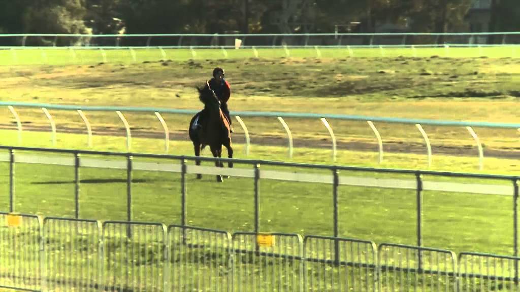 Rupert Clarke stake preview - John Moore stable Rupert Clarke stake preview - John Moore stable