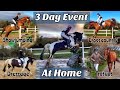 3 Day Event At Home | Stuart Eventing