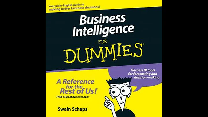 Business Intelligence For Dummies - Swain Scheps