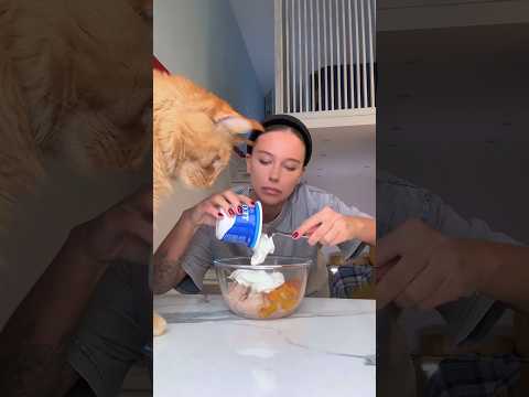 баттер чикен масала #асмр #готовка #еда #рецепты #готовимдома #food #обед #cooking