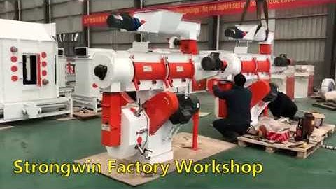Strongwin Factory Workshop  Email: toppelletmachine@gmail.com