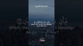 Deep Emotional Quran Recitation for Heart Serenity and Soul Healing #CalmingQuran #Peace
