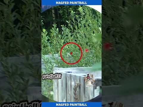 Shooting Thru Bush - Slow Motion Paintball - Magfed Paintball #shorts  #magfedpaintball #paintball